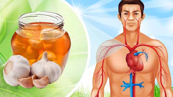 Honey Garlic Benefits
