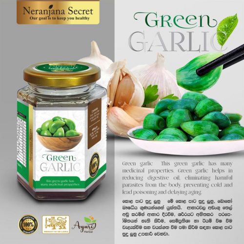 Buy Green Garlic